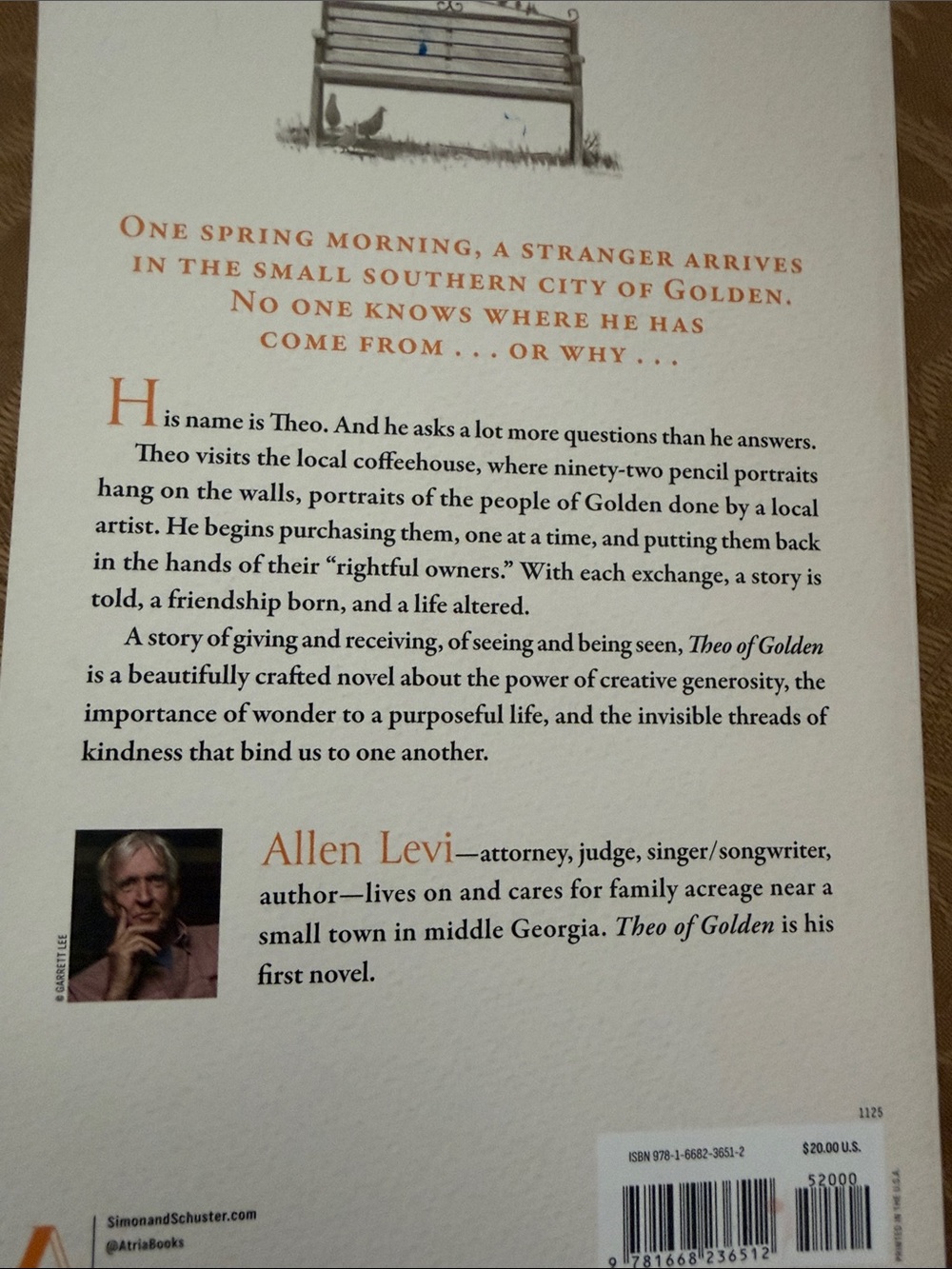 Theo of Golden by Allen Levi - a novel - Picture 5 of 5